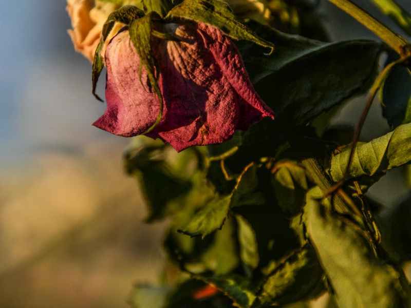 Does God love me&nbsp;less?