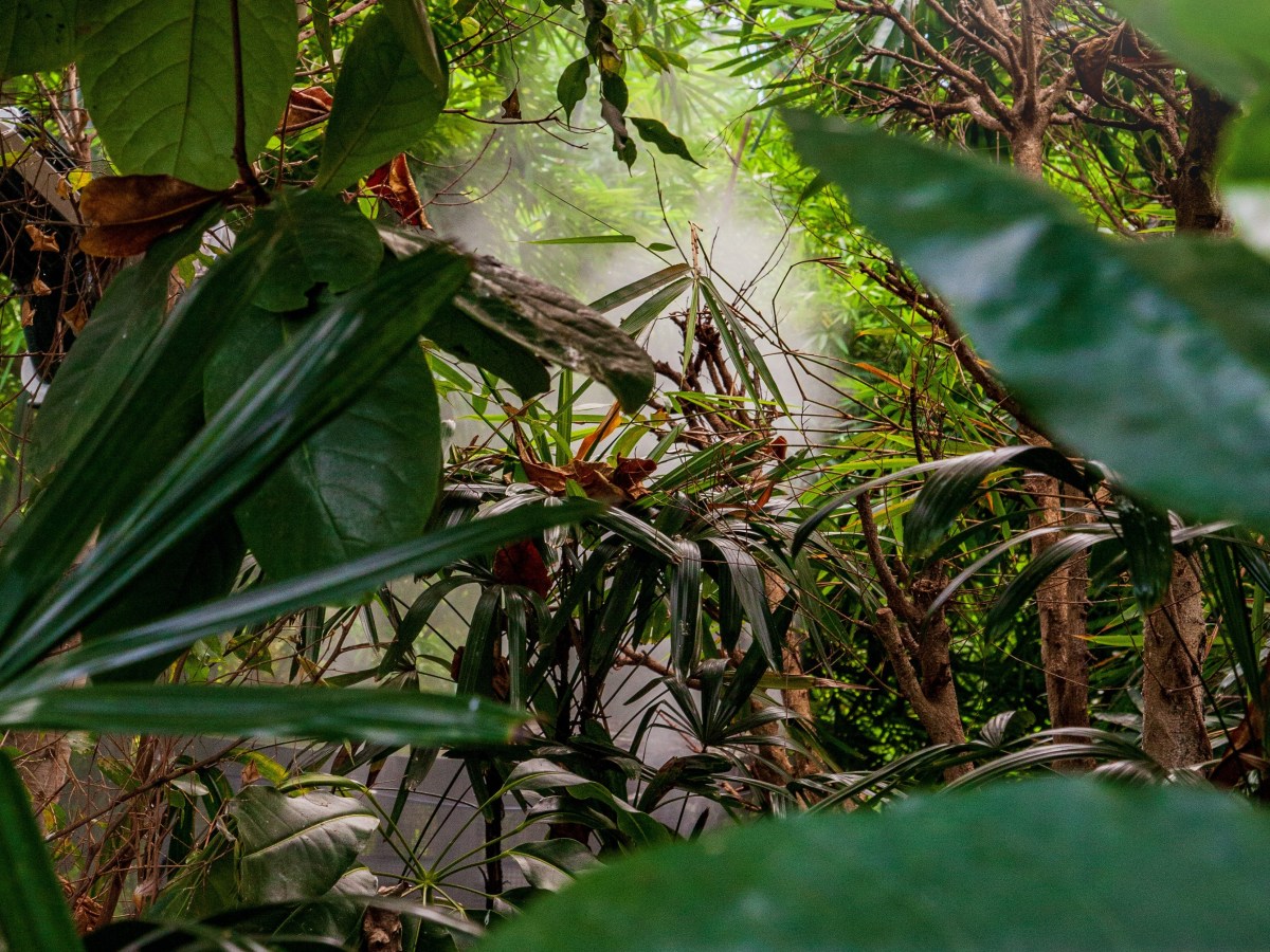 James’ Guide to Life: Keeping on