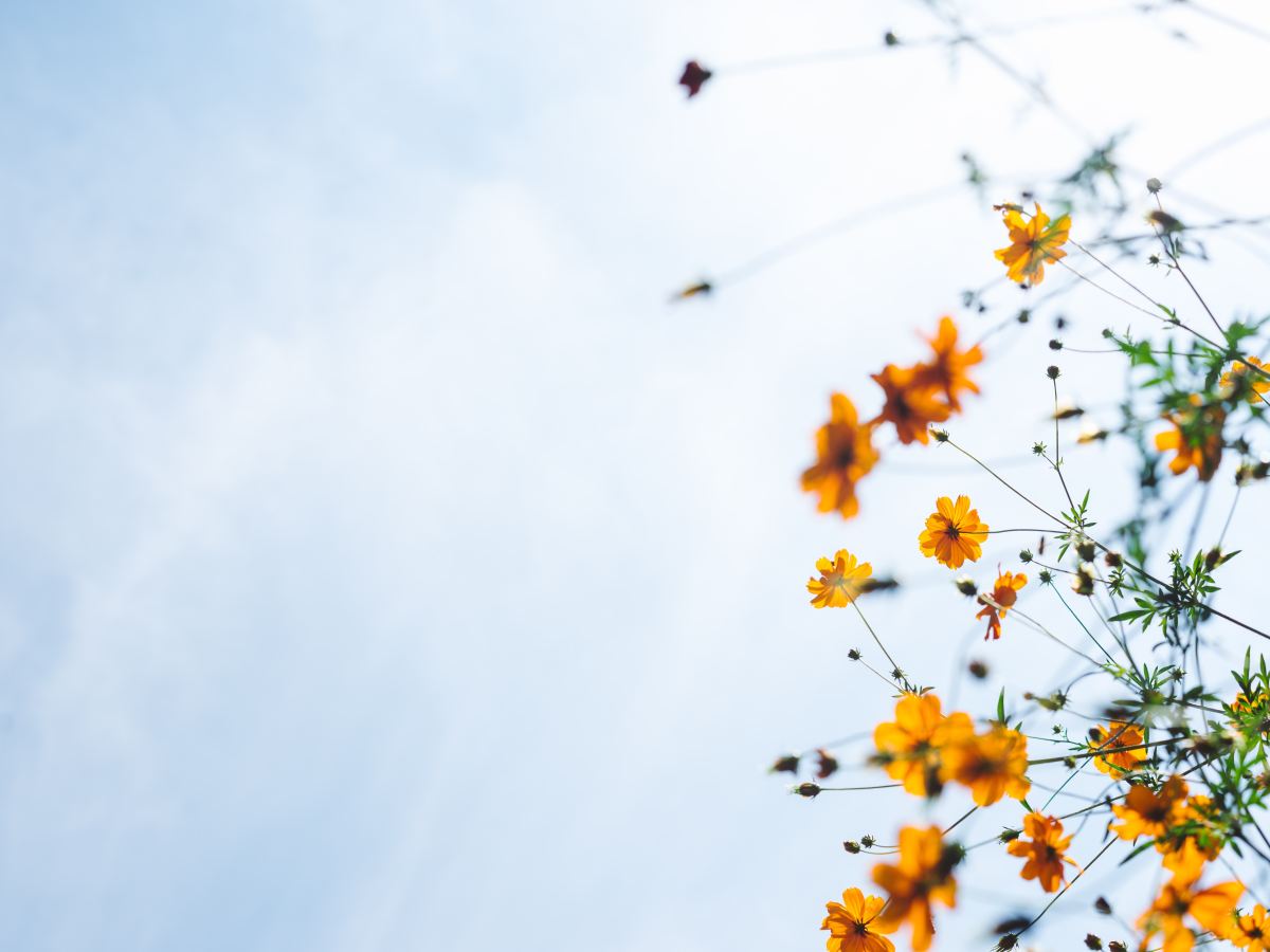 Turning restlessness into groaning