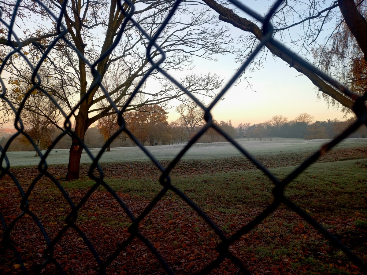 I must have&nbsp;you